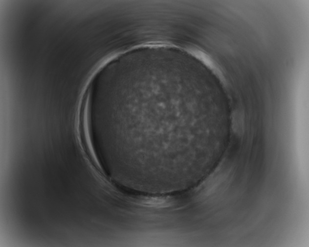 X0000090621229200707171429