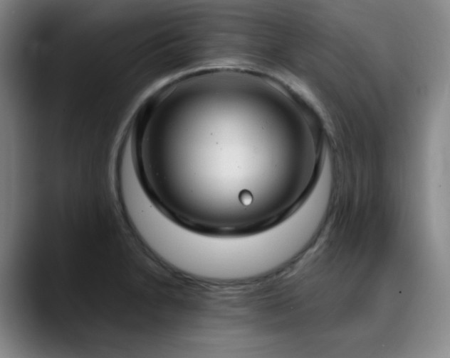 X0000090621230200707171429