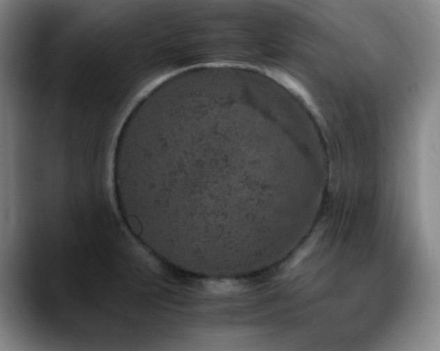 X0000090621231200707171429