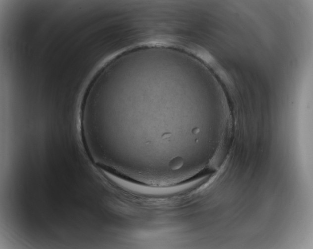 X0000090621232200707171429