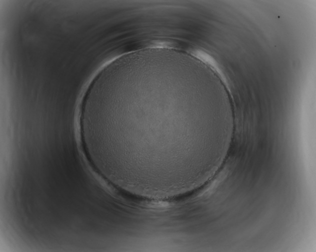 X0000090621235200707171429