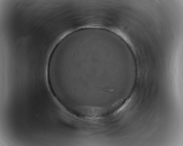 X0000090621237200707171429
