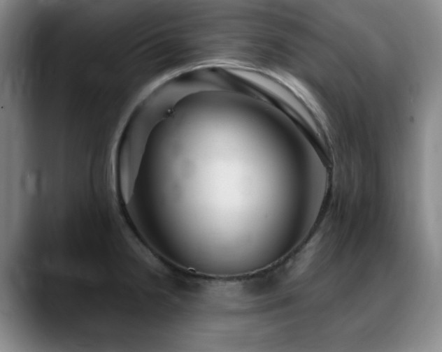 X0000090621238200707171429