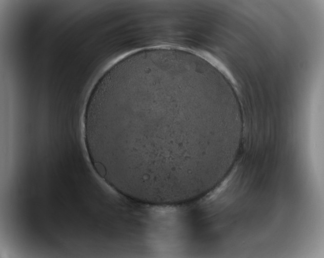 X0000090621239200707171429