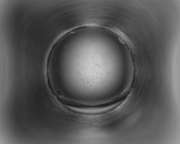 X0000090621240200707171429