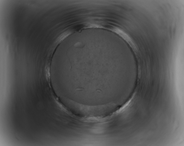 X0000090621241200707171429