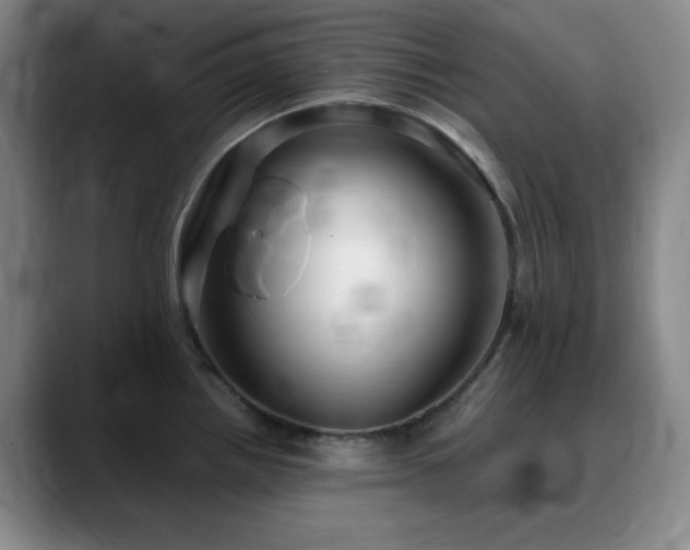 X0000090621242200707171429