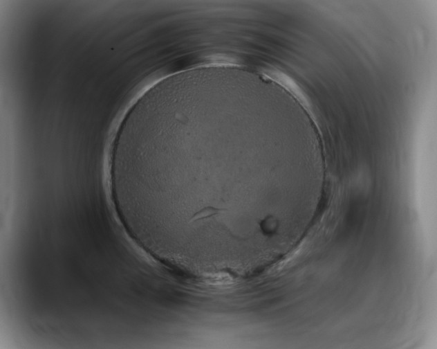 X0000090621243200707171429