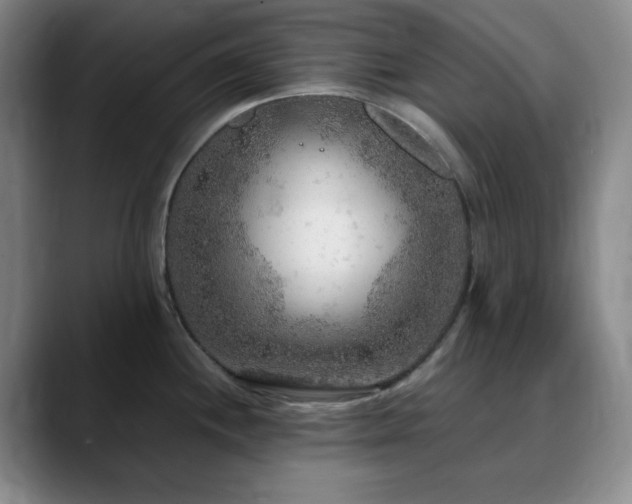 X0000090621244200707171429