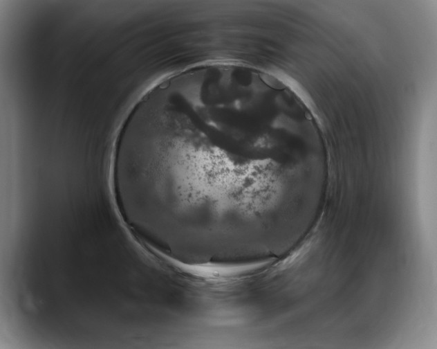 X0000090621245200707171429