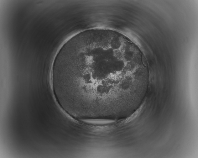 X0000090621247200707171429