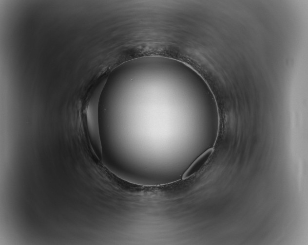 X0000090621250200707171429
