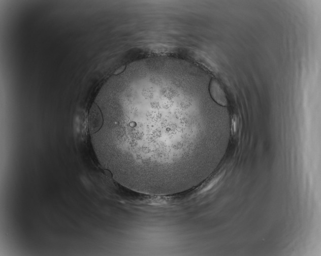 X0000090621251200707171429