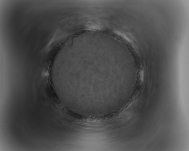 X0000090621254200707171429
