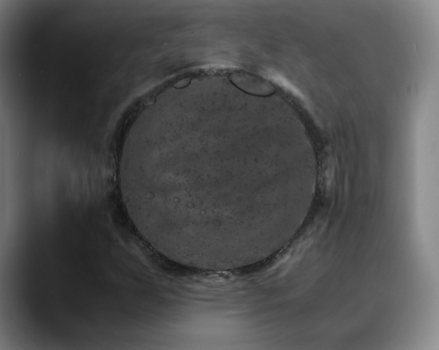 X0000090621255200707171429