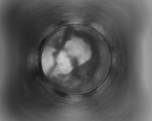X0000090621258200707171429