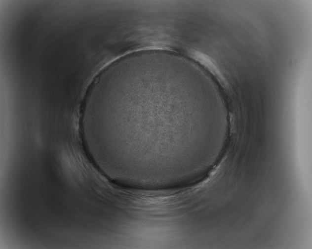 X0000090621260200707171429