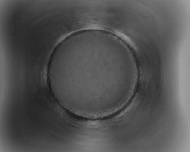 X0000090621264200707171428