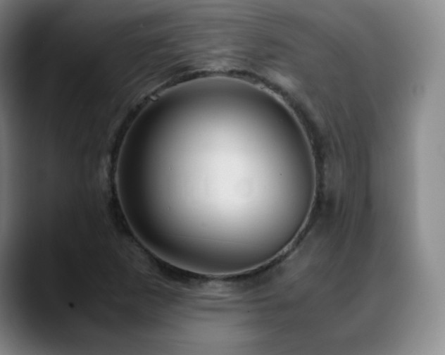 X0000090621265200707171428