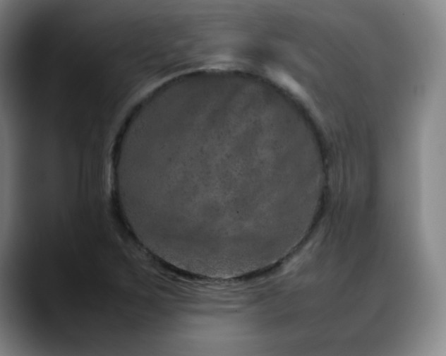 X0000090621267200707171428