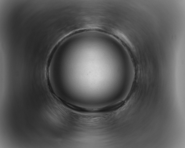X0000090621268200707171428