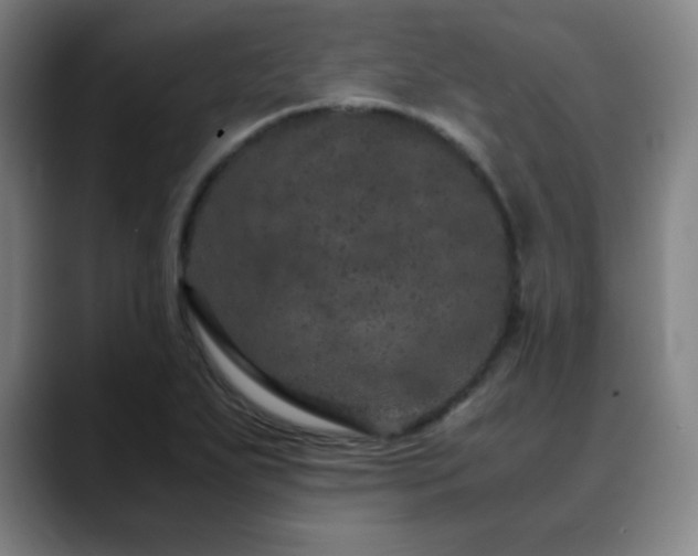X0000090621271200707171428