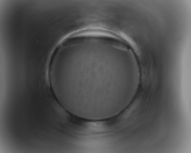 X0000090621272200707171428