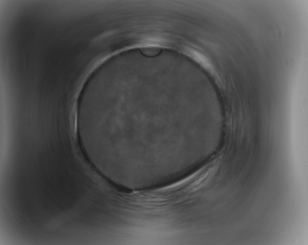 X0000090621275200707171428