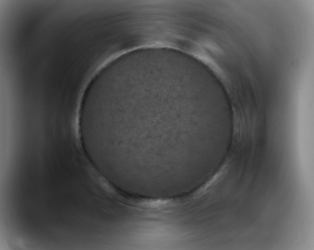 X0000090621278200707171428