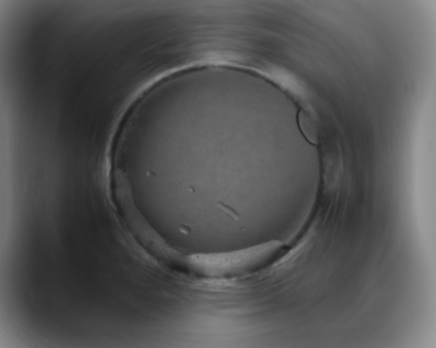 X0000090621280200707171428