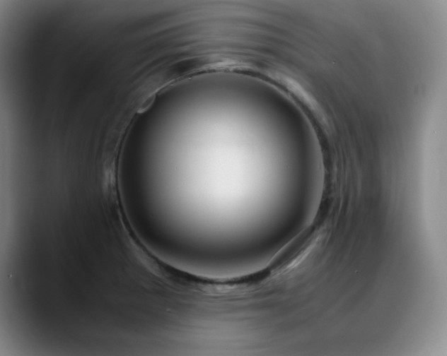 X0000090621281200707171428
