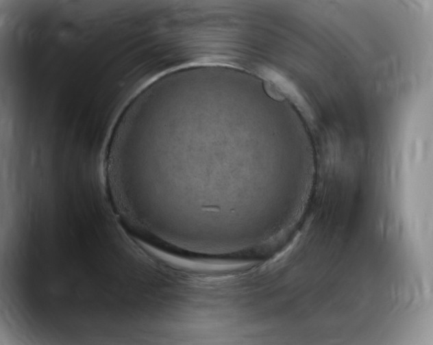 X0000090621284200707171428