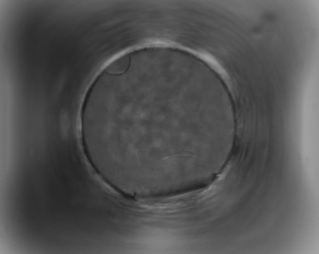 X0000090621287200707171428