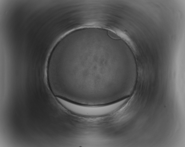 X0000090621288200707171428