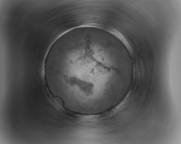 X0000090621292200707171428