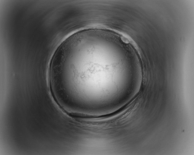 X0000090621295200707171428
