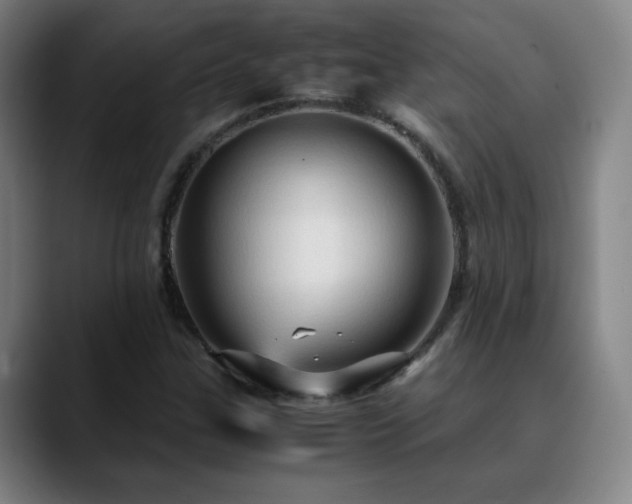 X0000090621307200707171428