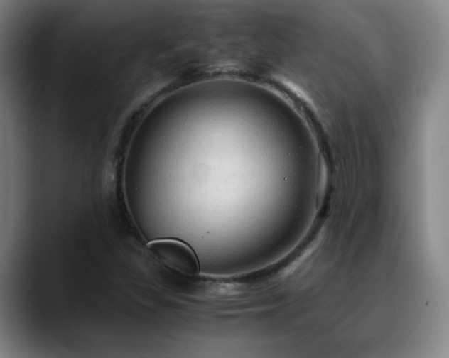 X0000090621309200707171428