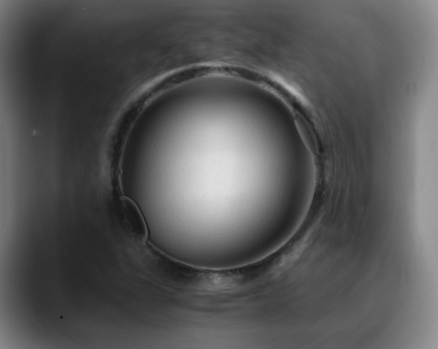 X0000090621311200707171428