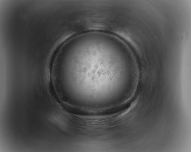 X0000090621317200707171428