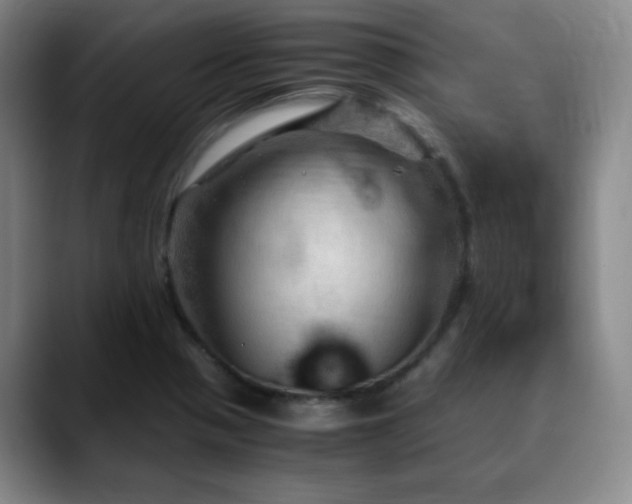 X0000090621321200707171428