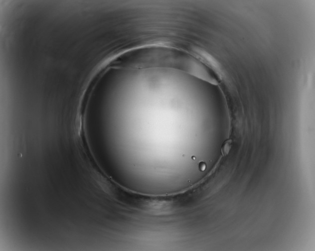 X0000090621324200707171428
