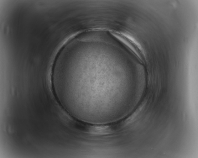 X0000090621325200707171428