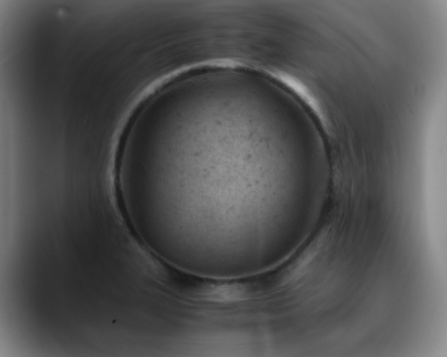 X0000090621327200707171428