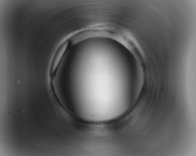 X0000090621328200707171428