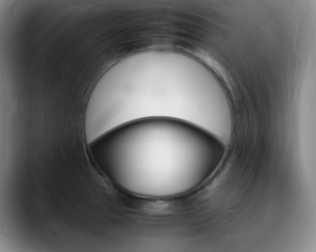 X0000090621329200707171428