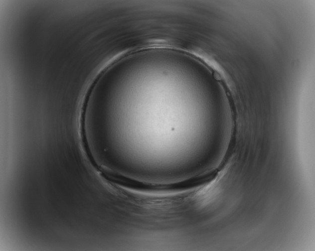 X0000090621333200707171428