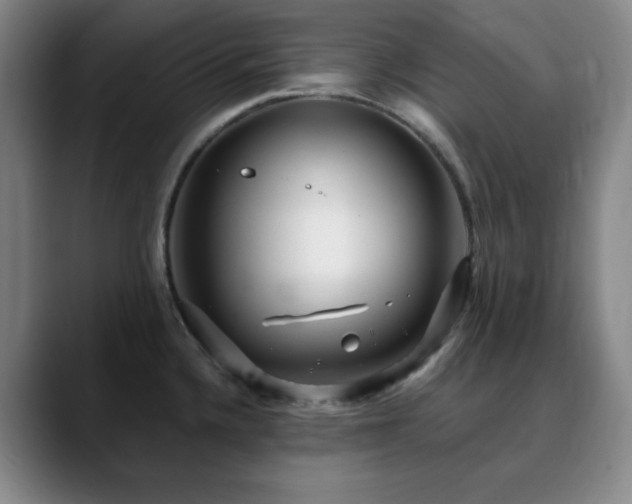 X0000090621336200707171428