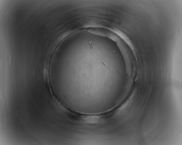 X0000090621337200707171428