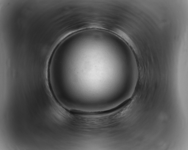 X0000090621339200707171428